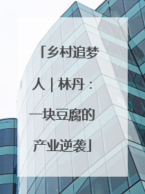 乡村追梦人｜林丹：一块豆腐的产业逆袭